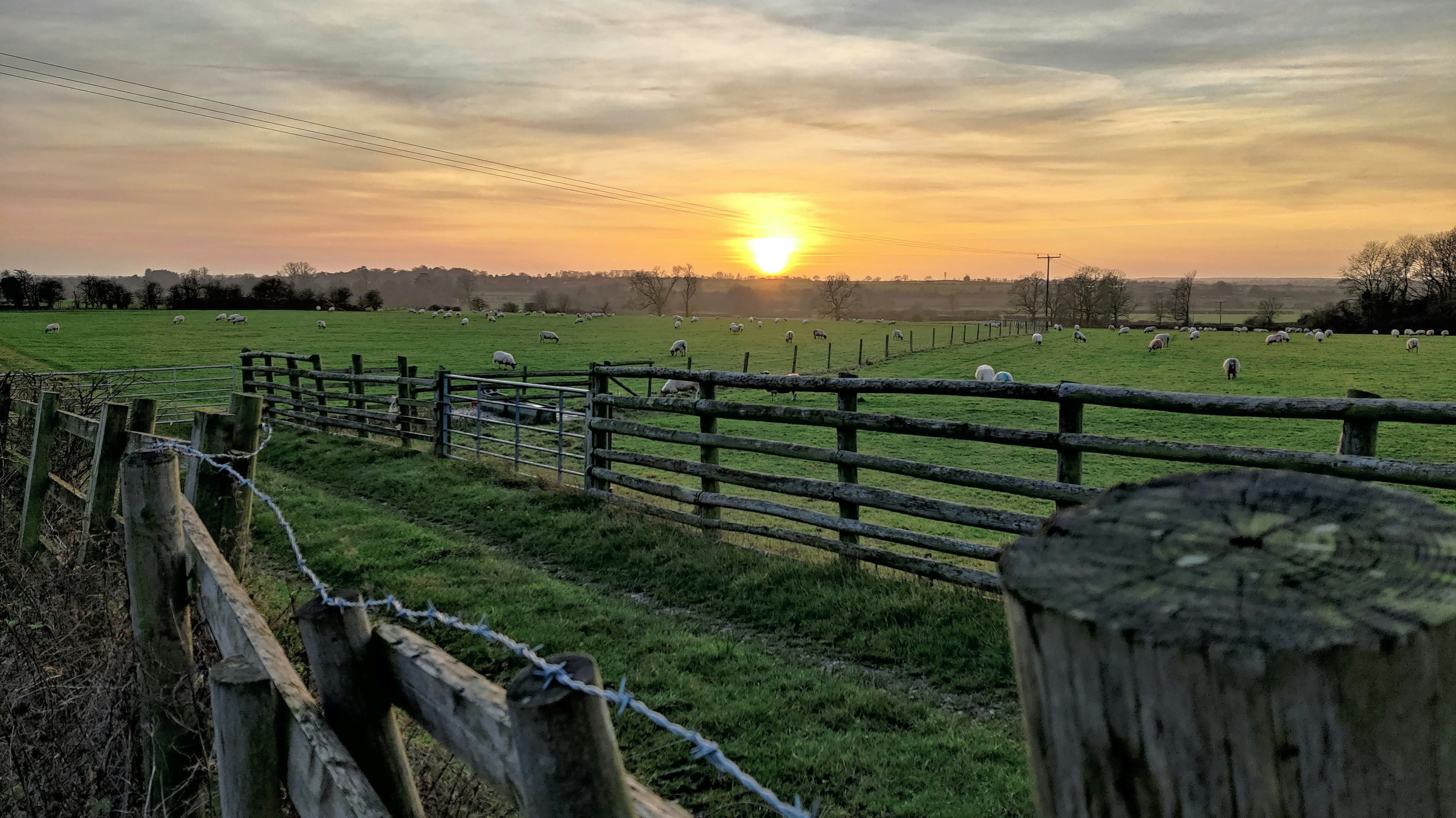 Rolling green pastures with fence